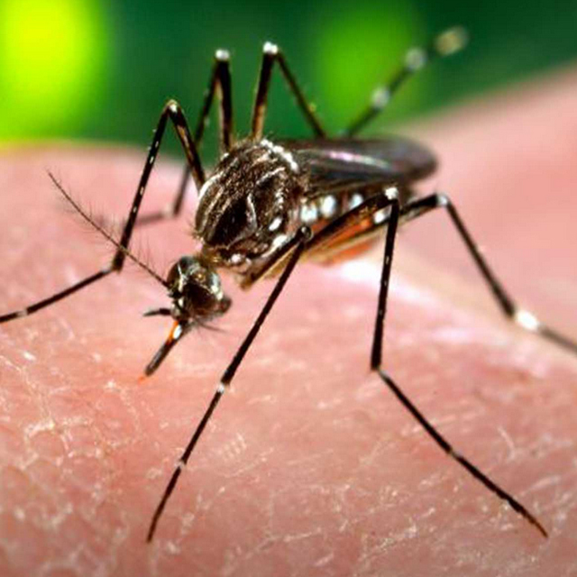 Zika El Salvador